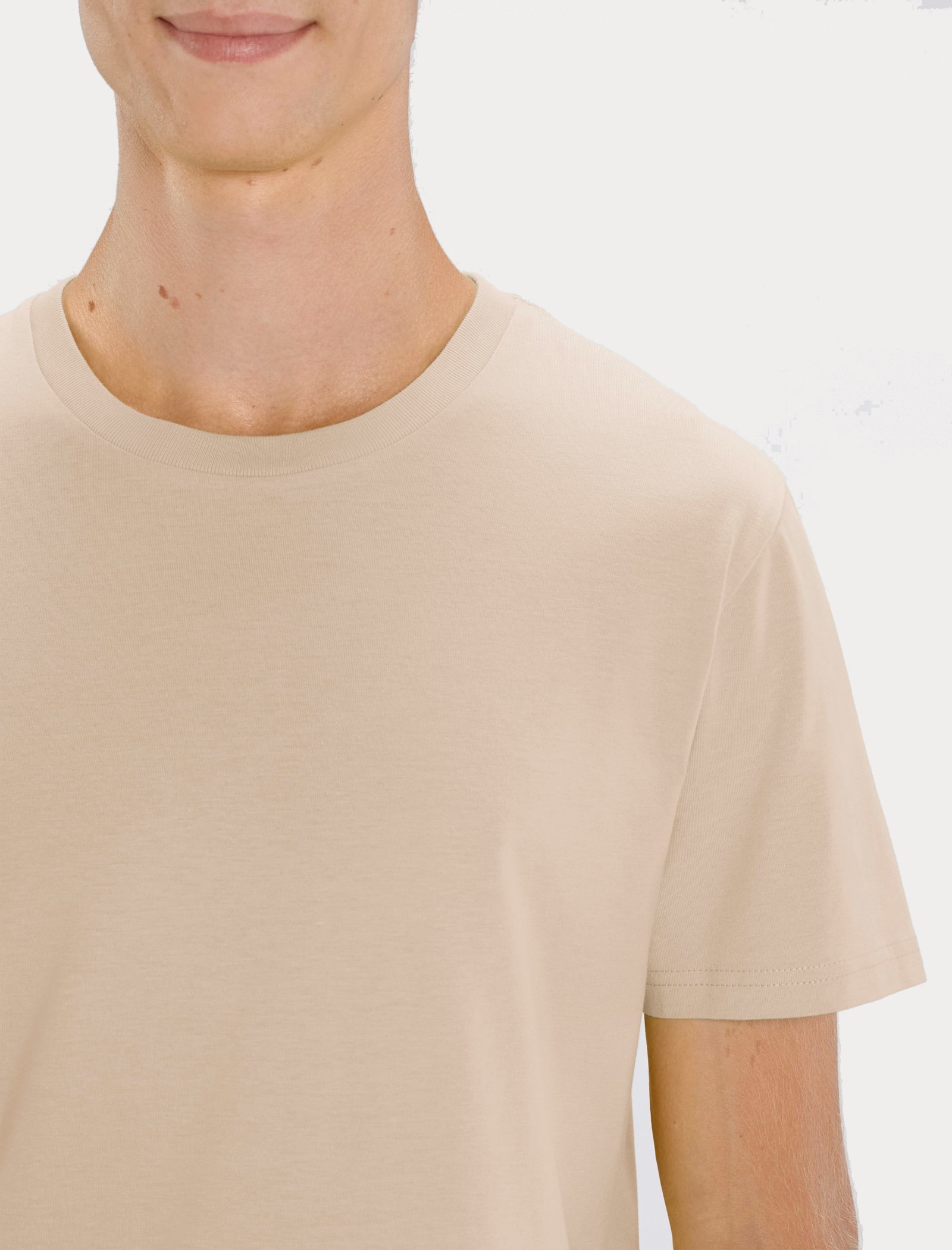 Tシャツ・カットソー IONSEOUL Camel short sleeve t-shirt JE1078 Men's t-shirt Ykobow - CAMEL 21 Short sleeve Brown - E25